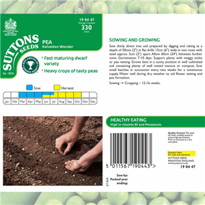 Pea Kelvedon Wonder